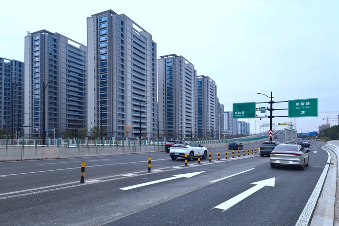 20241219翠柳路02.jpg 20241219翠柳路02.jpg